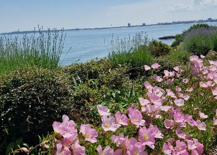 Sorrento Sole Mare V&d Luxury Style アパート スヴェティ・ヴラス